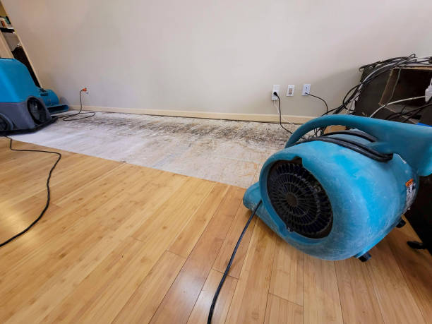 Professional Water Removal technician working in Cantil, CA